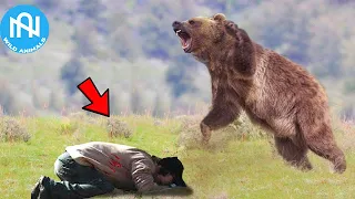 When Animals Go On A Rampage! Interesting Animal Moments CAUGHT ON CAMERA! #39