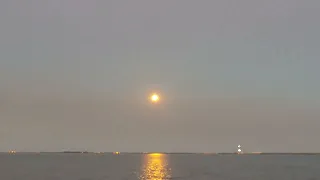 SpaceX Launch 1/31/22 - Landing