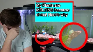 Why my plants are MELTING and how I fixed it