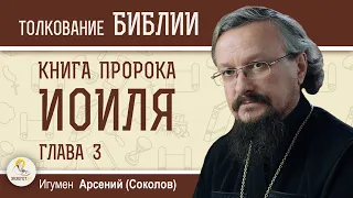 Книга пророка Иоиля. Глава 3 "Господь будет обитать на Сионе"  Игумен Арсений (Соколов)