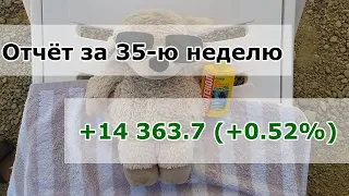 Прилетели в Геленджик / Итоги августа / Китай и США растут