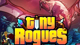 Un Roguelite incroyable ! (Tiny Rogues)