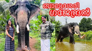 ഉടമസ്ഥൻ തന്നെ ആനക്കാരൻ,അറിയാം ഗജേന്ദ്ര വിശേഷം|Baluserigajendran|sarisway