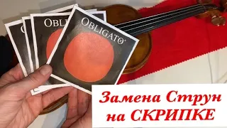 Как поменять струны на СКРИПКЕ🎻советы и рекомендации. Струны PIRASTRO OBLIGATO E GOLD