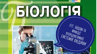 §59. Будова та функції репродуктивної системи людини, біологія, 8 клас