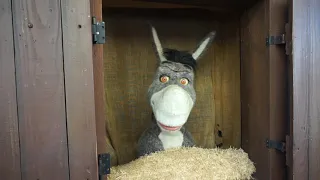 Talking To Donkey About The Holidays @ Universal Studios Orlando