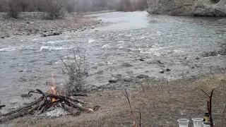 Жареная рыба по грузински На Арагви С Друзьями)))