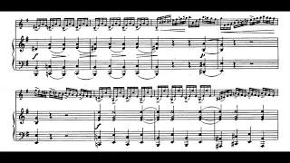 Viotti - Violin Concerto No.23 in G major, 1st Mov. (piano accompaniment)