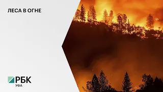 В Башкортостане продолжают гореть 11 лесных участков на площади 380 га