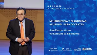 Plasticidad neuronal para docentes | José Ramón Alonso