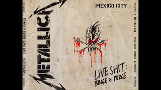 Metallica - Live Shit, Binge And Purge (1993)