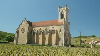 The Wines of Burgundy