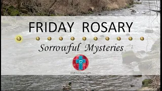 Friday Rosary • Sorrowful Mysteries of the Rosary 💜 Mallard Ducks on the River