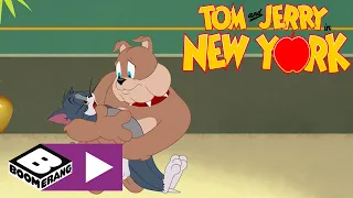 Tom & Jerry | Spike Comforts Tom | Boomerang UK