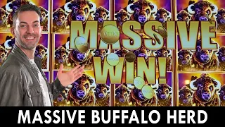 MASSIVE Buffalo Herd 🐃  Seven Feathers Casino in Oregon! #ad