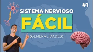 🧠 SISTEMA NERVIOSO CENTRAL Y PERIFÉRICO (Resumen) Simpático y Parasimpático