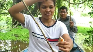 Fishing Piranhas in the Amazon River. Peruvian Village Food