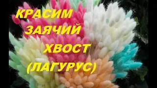 Простой способ покраски колосьев заячьего хвостика (лагуруса)