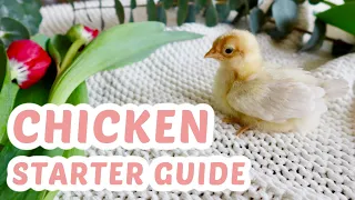 HOW TO RAISE BABY CHICKS.  SIMPLE BEGINNERS GUIDE FOR BACKYARD CHICKENS AND TIPS FOR A HEALTHY FLOCK