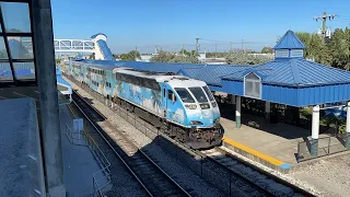 SFRTA Tri-Rail Commuter Trains @ Metrorail Transfer (January 2024)