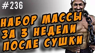 как набрать мышечную массу за 2 недели. после сушки