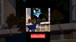 Tom and Jerry🔥🔥part 1 #tomandjerry #cartoon #animation #savage  #evolution #trending #tiktok #shorts