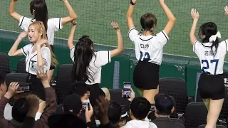 オーストラリアの日本人応援がエグい！台湾に同点！アジアプロ野球チャンピオンシップ2023 11/19(日)東京ドーム