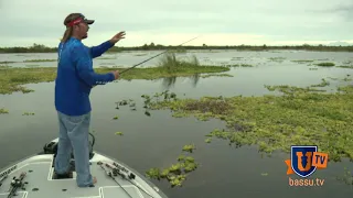 Punching Grass Mats with a Punch Rig for GIANT Bass