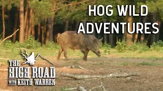 Hog Wild | The High Road with Keith Warren