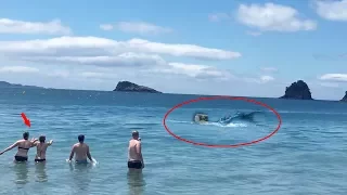 7 Real Life Mermaid Sightings Caught On Camera #2