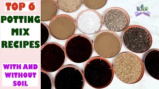 Top 6 Potting Mix/ Potting Soil recipes, with and without soil