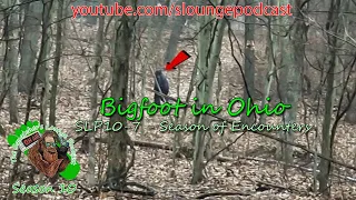 Ohio Bigfoot Sightings 2021