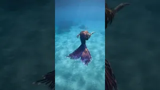 Mermaid Swimming in the Ocean #mermaid #professionalmermaid #mermaidtail