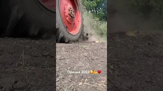 Оранка 2023💪🇺🇦🇺🇦🇺🇦