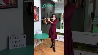 Ольга Богдан - соло на флейте
