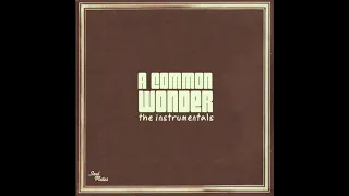 Common & Stevie Wonder - A Common Wonder (Instrumentals) | Amerigo Gazaway (Full Album)