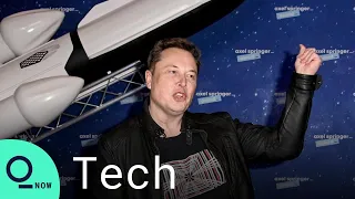 GameStop Saga: Why Reddit Loves Elon Musk, Cathie Wood and Chamath Palihapitiya