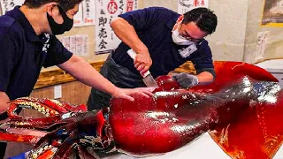 Incredible Giant Squid Fishing - How to Cutting Giant Squid And Squid Processing in Factory