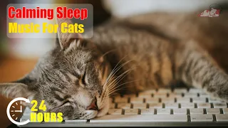 Music Anxiety Relief in Cats, Calm Hyperactive, Anxious Cat and Help Sleep