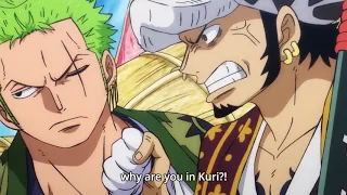 Trafalgar Law yelling at Zoro - One Piece