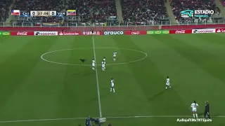 Cute dog needs belly rub in Chile-Venezuela women soccer match! 🤭