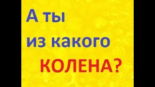 О РЕАЛЬНОМ ВОСХИЩЕНИИ ЖЕНЫ (12 КОЛЕН ДУХОВНОГО ИЗРАИЛЯ) НА КАНАЛЕ НАРОДА-ПОМАЗАННИКА.