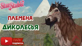 Племена Диколесья в Star Stable Online | Выездка клуба "Ice Queens Inc"