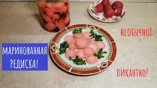 Маринованная редиска! Дополнение к мясу и закуска!