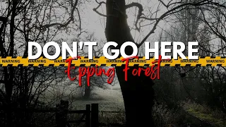 Is Epping Forest haunted? Ghost stories & cryptids | Heebee Jeebeez TV