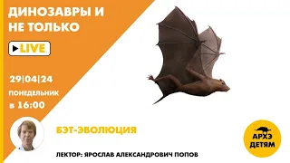 Занятие "БЭТ-эволюция" кружка "Динозавры и не только" с Ярославом Поповым