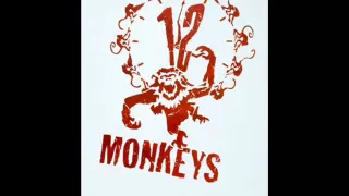 12 Monkeys music theme