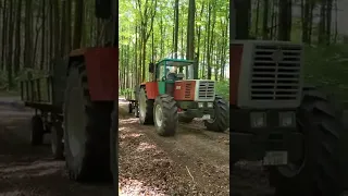 Fendt 714 und Steyr 1400a holen Holz