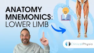 Learn Anatomy: Lower Limb Anatomy Mnemonics and Memory Aids | Anatomy Made Easy