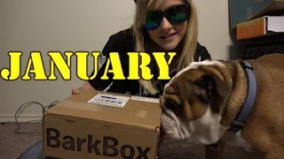 BarkBox #1 January w/Little Bere